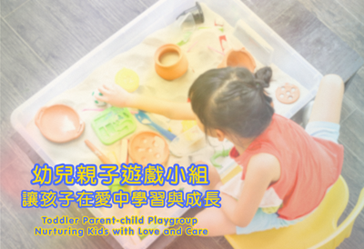 Toddler Parent-child Playgroup