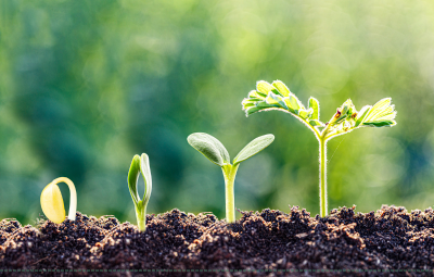 父母的自身成長